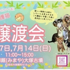 7/7(日) 保護猫の譲渡会@アニマルスマイル香川