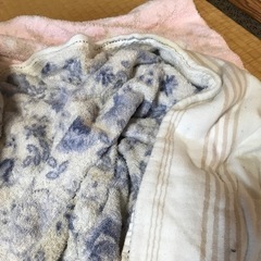 服/ファッション セーター レディース