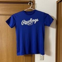 ローリングス　ロイヤルブルーTシャツ　Sサイズ