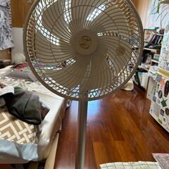 取りに来てくださる方のみ。首の伸縮はありません