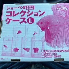 水槽1個