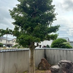 庭石　庭木　など