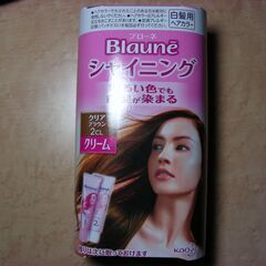 ブローネ　シャイニング　ヘアカラー　（新品）