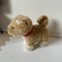 わんちゃんのぬいぐるみのおもちゃの画像
