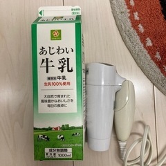 YAZAWA ヘアドライヤー旅行用