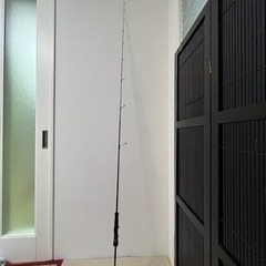 ダイワ紅牙キャスト