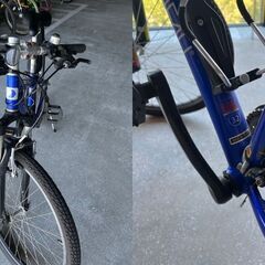 ルイガノ　26インチマウンテンバイク LGS-M8の画像