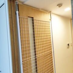 [山善] 突っ張り パーテーション (ワイヤータイプ) 幅90×奥行5×高さ166.5-295.5cm  壁掛け 収納 壁面収納 天井 間仕切り 組立品 ホワイト SP-90(W)　突っ張り棒の画像