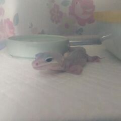 大切にしてくださる方へ