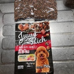 小型犬のエサ