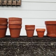 お取引中　DAISO　植木鉢