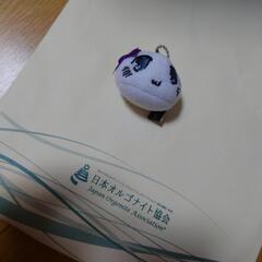 中古美品　ヘタリア　マスコット　ボールチェーン