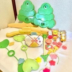 プーメリーの中古が安い！激安で譲ります・無料であげます(3