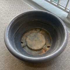 メダカ鉢の画像