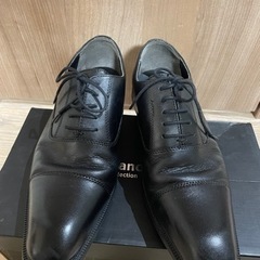 HYDRO TECH ULTRA LIGHT　ビジネスシューズ　黒　25.0cmの画像