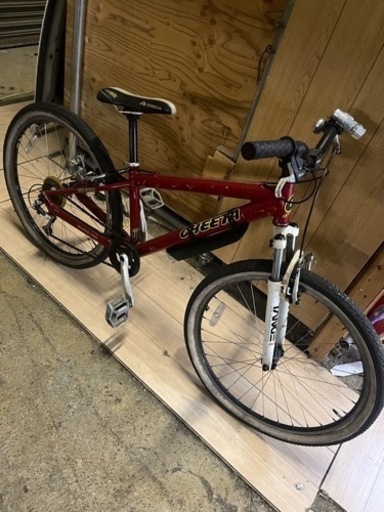 チーター　デュアル　トムスンマウンテンバイク