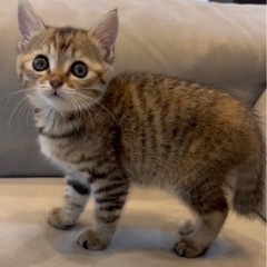かわいい顔した女の子です。決まりました！