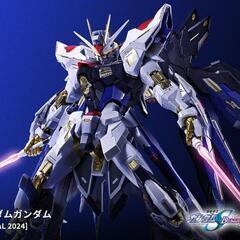METAL BUILD ストライクフリーダム[METAL BUILD FESTIVAL 2024]