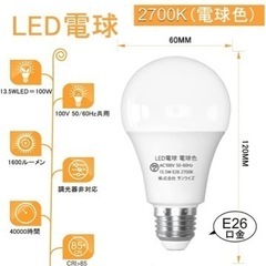 LED電球 100wの画像