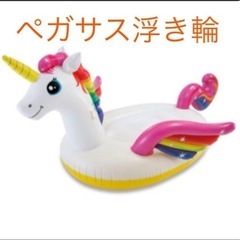 ペガサス　ユニコーン　
浮き輪