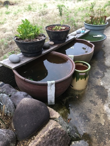 大きな甕、火鉢、水鉢、睡蓮鉢、メダカ鉢、つくばい (ブン) 柿崎 大きな甕、火鉢、水鉢、睡蓮鉢、メダカ鉢、つくばい (ブン) 柿崎