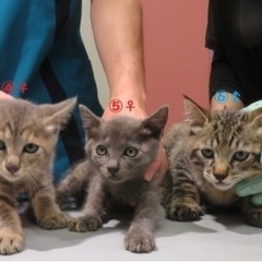 みんなかわいい兄妹とおじさん？