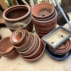 鉢植え、カメ 家庭用品 ガーデニング