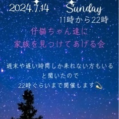 🐈🐈‍⬛猫さんの譲渡会します。🐈‍⬛🐈