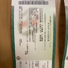 指定席券1枚 【急募！】木下大サーカス広島公演　7/7（日）15...