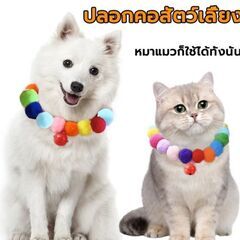 小型犬/猫用チョーカーネックレス（新品）カラフル