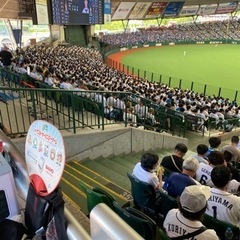 西武ライオンズ観戦グループメンバー募集 - 所沢市