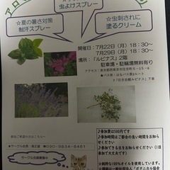 アロマクラフトサークル✩.*˚7月22日