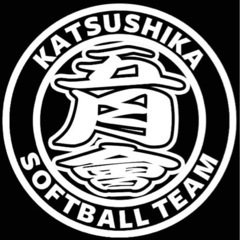 ソフトボールキャッチャー急募‼️