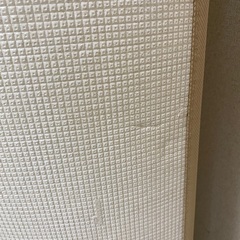 パークロン　プライムマット(リーフバード)の画像
