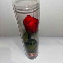 ブリザードフラワー　バラ🌹の画像