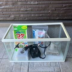 メダカ飼育セット