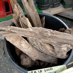 ラメ系ダルマ、少し入れ替えしてます！