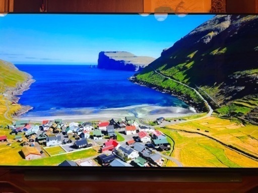 LG 55インチ C9PJA  有機EL  色ムラあり 引取 西馬込周辺