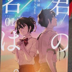 マンガ数十から数百冊がピッタリ収まる収納ケースまたは収納棚を譲ってほしいです。 - 川崎市