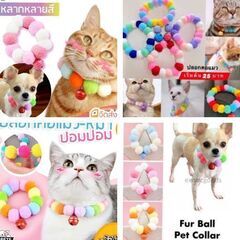 小型犬/猫用チョーカーネックレス（新品）カラフルの画像
