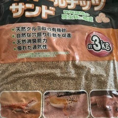 ウォールナッツサンド 3キロ