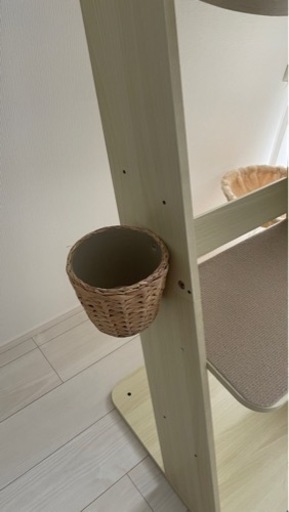キャットタワー、キャットツリー