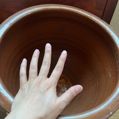 大きな瓶の画像