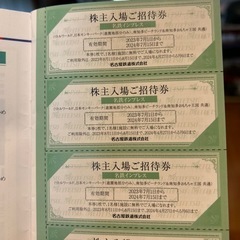 チケット テーマパーク/遊園地