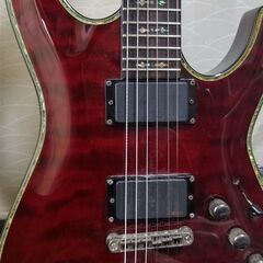 シェクター ヘルレイザーAD-1C