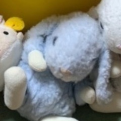 ぬいぐるみの落し物探し