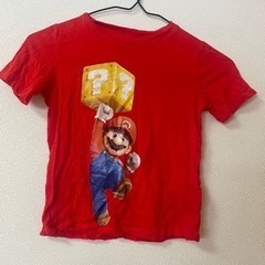 マリオ　ルイージ　コスプレ