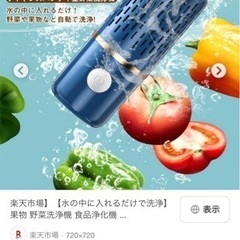 野菜洗浄機の画像