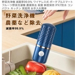 野菜洗浄機の画像