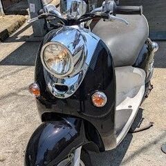 決まりました。ビーノデラックス　パープリッシュブラックパール　S...